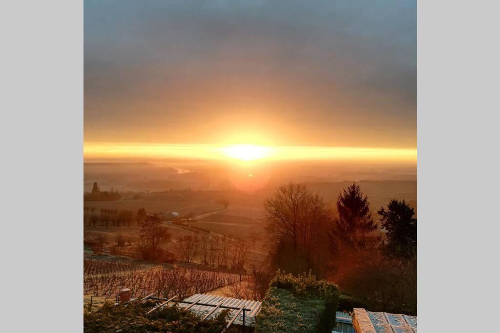 Vue Panoramique Sur Le Vignoble Apartment Сансер Екстериор снимка