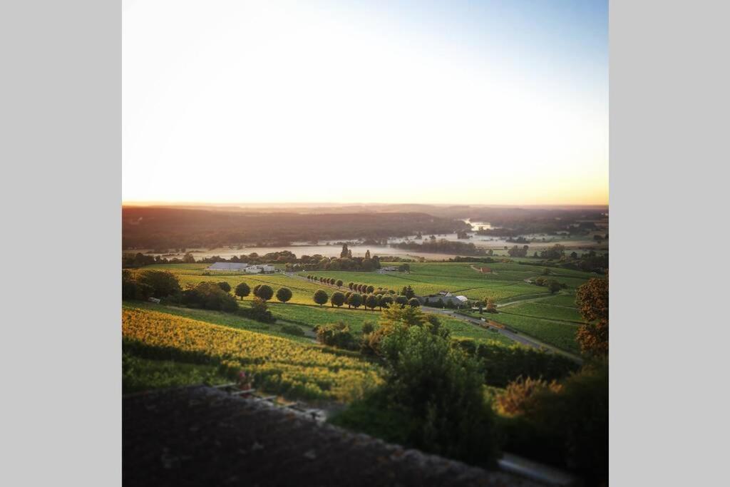 Vue Panoramique Sur Le Vignoble Apartment Сансер Екстериор снимка