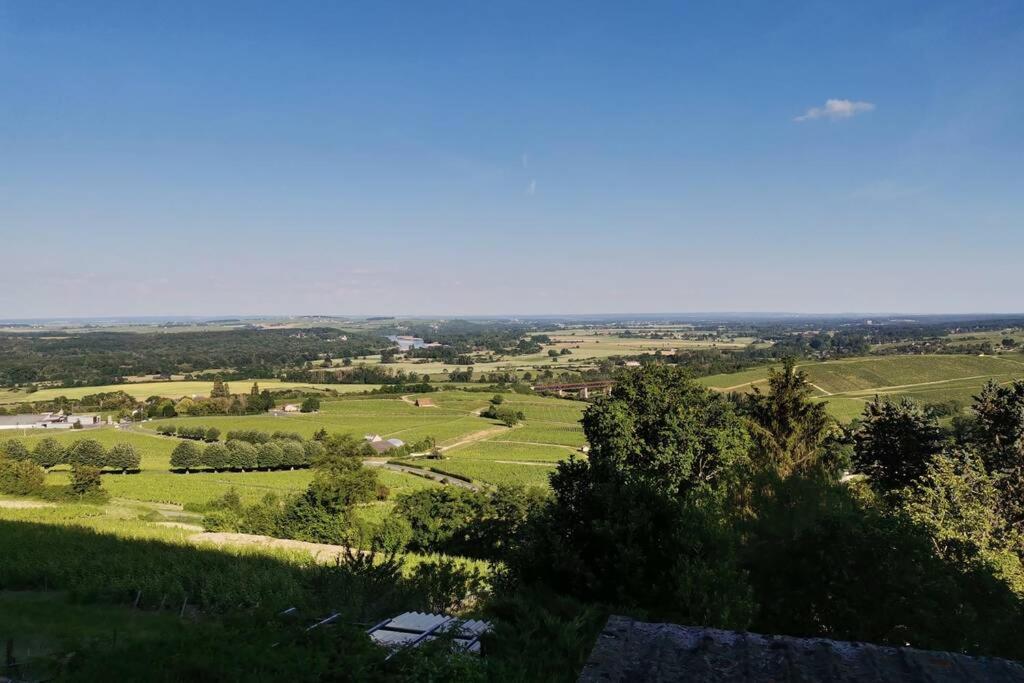 Vue Panoramique Sur Le Vignoble Apartment Сансер Екстериор снимка